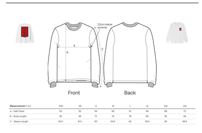 OVERSIZED QILIM LONG SLEEVE TEE